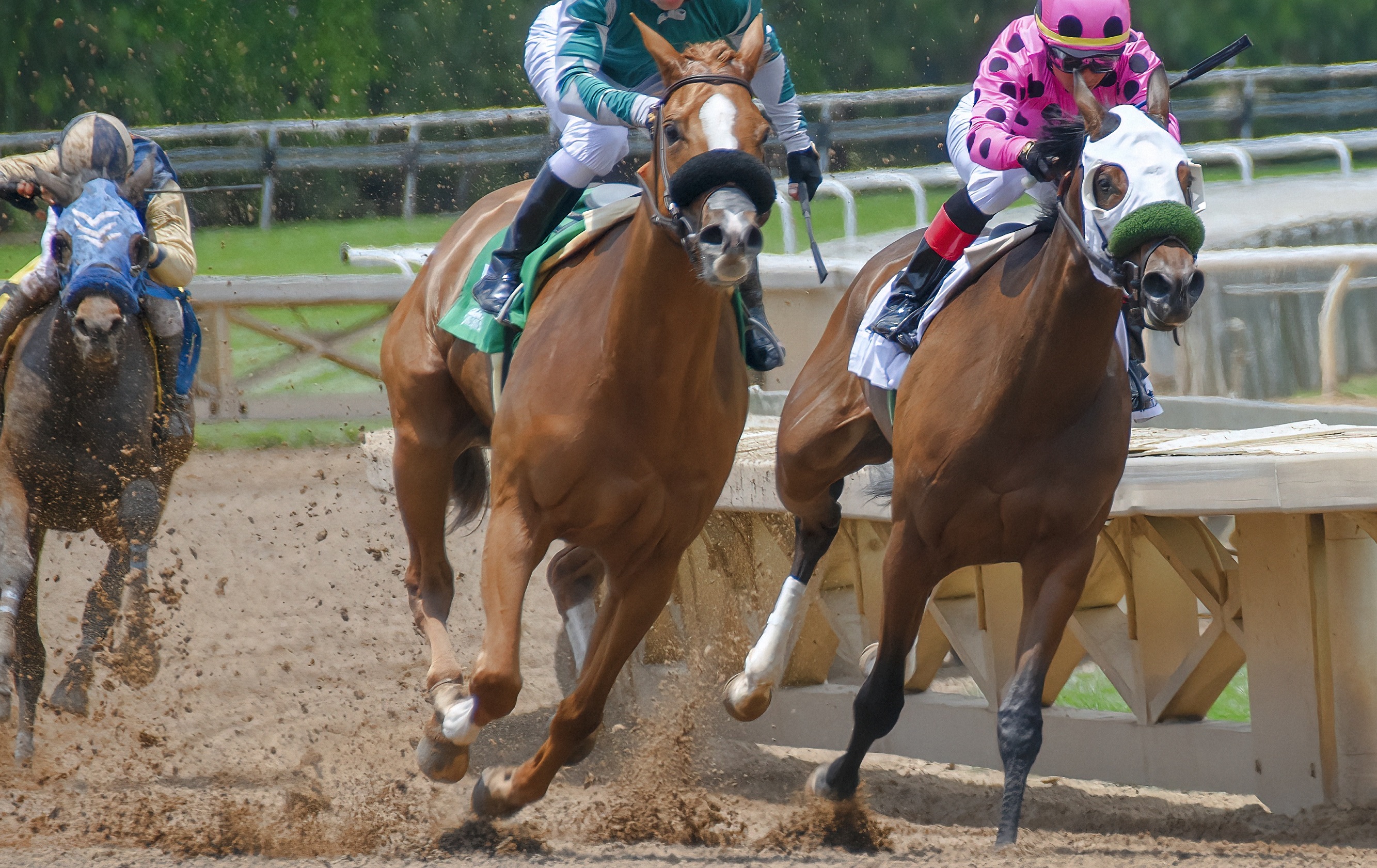 2022 コティリオンステークス(G1)出走馬紹介、レース結果（アメリカ・パークスレーシング競馬場）